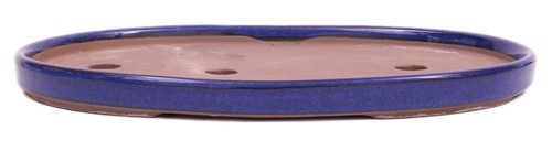 Bonsai waldschale oval 29 - -,