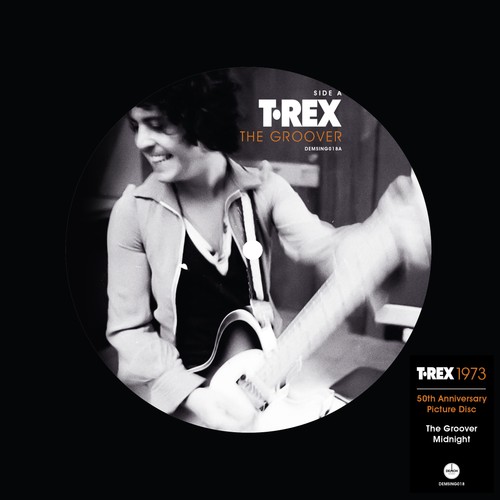 Rex the groover 50th - (vinyl),