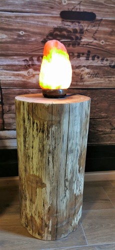 Hilwood baumstamm buche - hilwood,