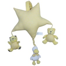 TCM Stern mit Katze, Ente &