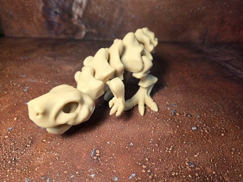 Dinosaurier skelett - dinosaurier,