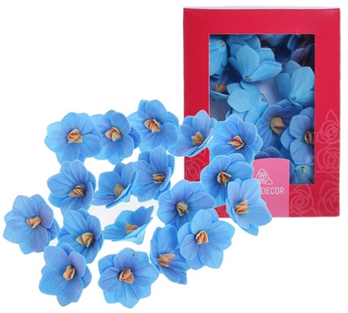 Hortensien waffelbeeren - hortensien-waffelbeeren, 18