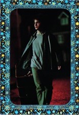 Harry Potter Evolution Panini