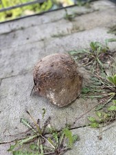 Alter Stahlhelm der Wehrmacht
