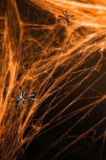 Spinnennetz 60g Halloween Deko