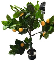 Weltbild Kunstpflanze