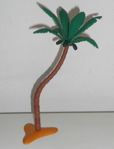 Palme kokosnusspalme kokosnuss - palme,