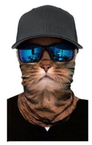 Bandana katze chat cat - bandana,