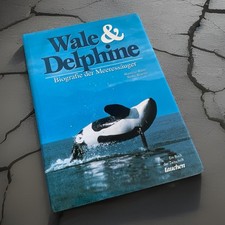 🐋 TAUCHEN Buch: Wale &