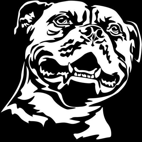 Staffordshire bullterrier - staffordshire,