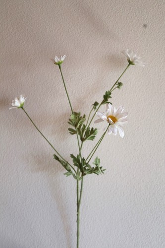 Margerite zweig künstlich - zweig,