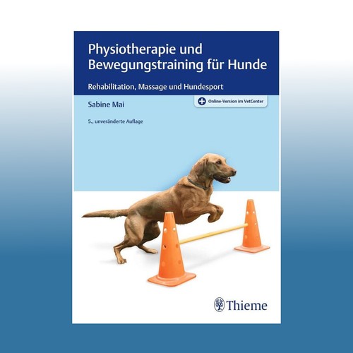 Physiotherapie und
