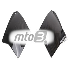 Carbon Kühlerverkleidung