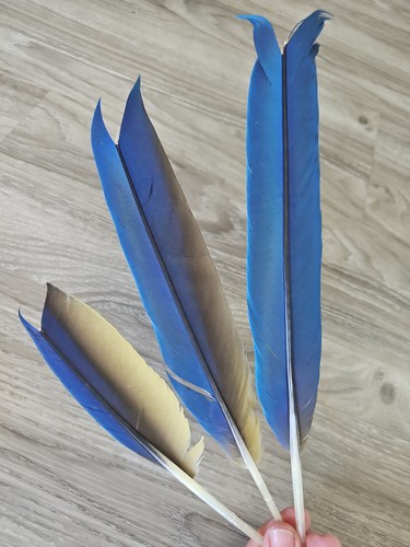 Blau gelb - blau,