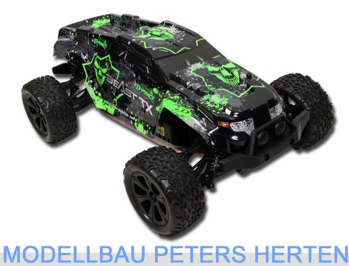 Power beast truggy - d-power,