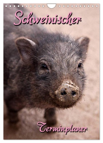 Schweinischer terminplaner - schweinischer,