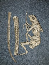 Aliens Queen Chestburster