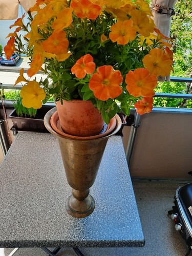 Bodenvase cm hoch - 43,