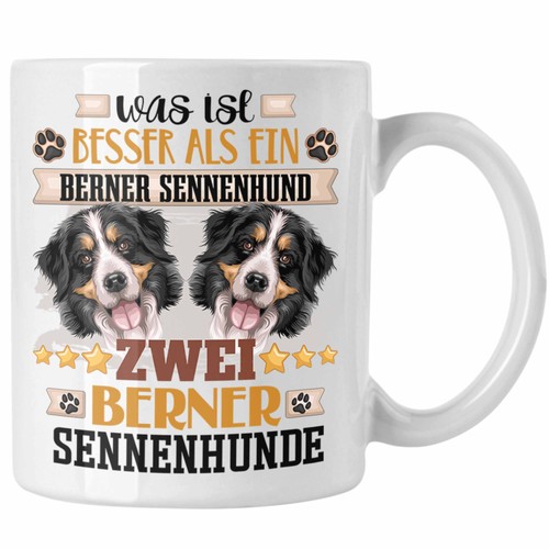 Berner sennenhund besitzer - berner,