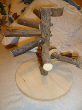 Wellensittich Spielplatz