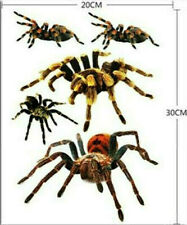 Auto;Motorrad Aufkleber " Spinnen ", 5 Teile!!! (Art.Sch.3/S)