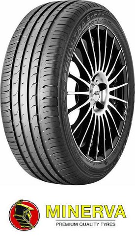 Minerva 209 145 - r12, 69t