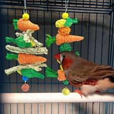 Vogel Spielzeug Futtersuche