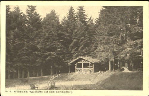 Wildbad schwarzwald waldhütte - wildbad,
