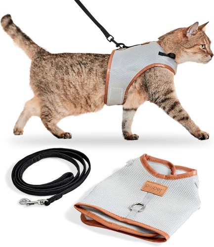 Piupet katzengeschirr und - katzengeschirr,