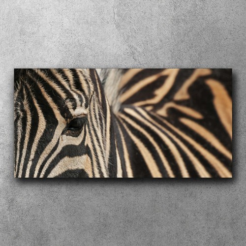 Leinwand bild xxl canvas - leinwand,