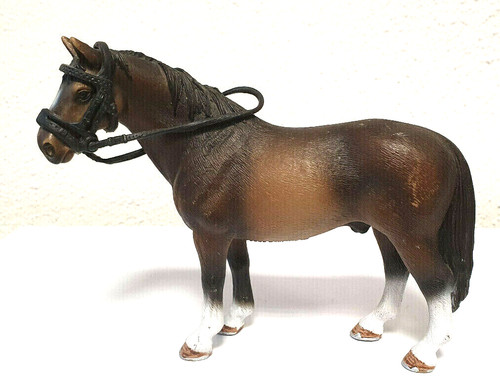 Hannoveraner hengst 2008 - 2008, mit