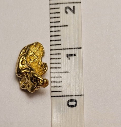 Alaska yukon goldnugget 51 - alaska,