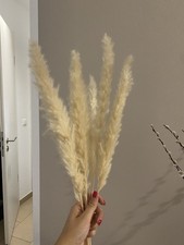 Pampasgras Kunstpflanze Deko Kunstgras Trockenblumen Dekoration