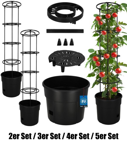 Kotarbau tomatenpflanze - kotarbau®,