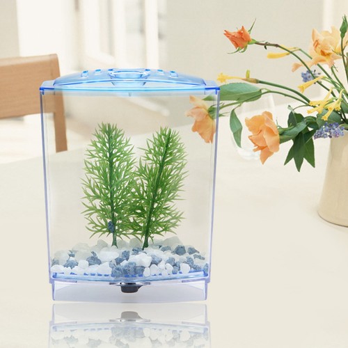 Mini aquarium transparentes - mini-aquarium,