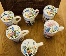 Tee tasse porzellan mit - ,