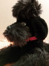 Steiff  - Pudel -  "Snobby" - 60er - Vintage