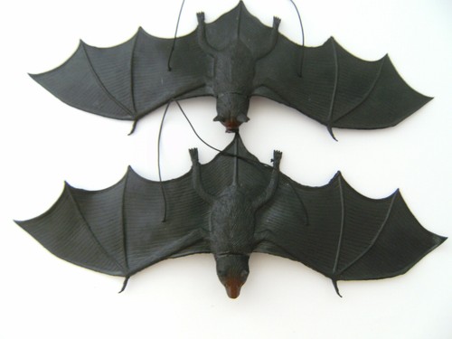 Fledermaus fledermäuse - fledermaus,