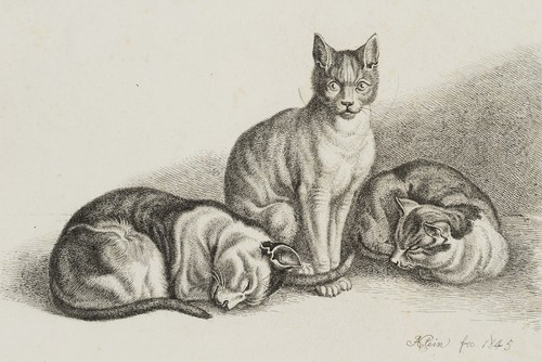 Klein die drei - (1792-1875),,