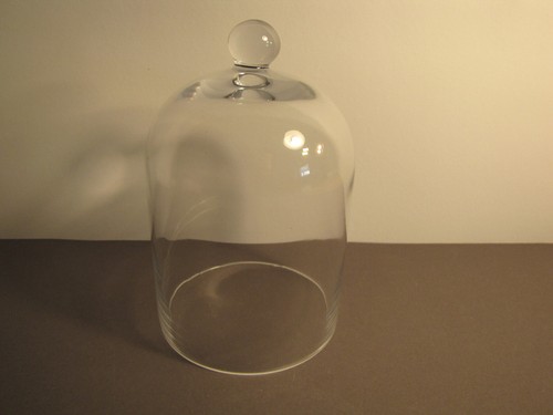 Glasglocke glashaube für - glashaube,