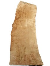 Birke Maser Holz Maserbirke Tonholz 52x15-23cm x 30mm