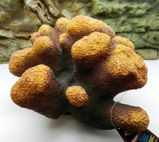 Dekorative Steinkoralle für