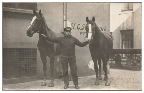 Xx2886 mann mit pferde - pferde, foto