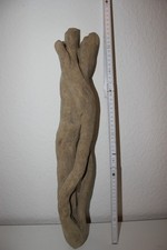 Treibholz Holzwurzeln