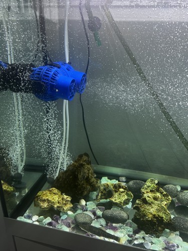 Aquarium - ,