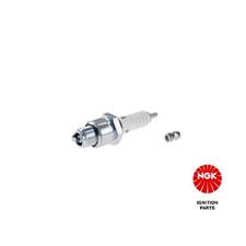 4x Zündkerze für Borgward