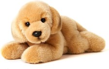 Golden Retriever Welpe