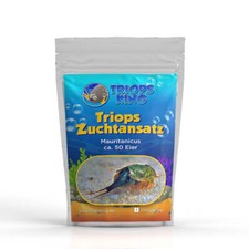 Triops mauritancius - triops,