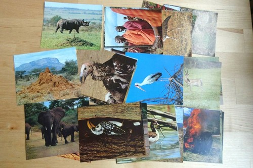 Sammelbilder safari gloria - 2,