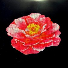 POST MALONE Tribute To Nirvana